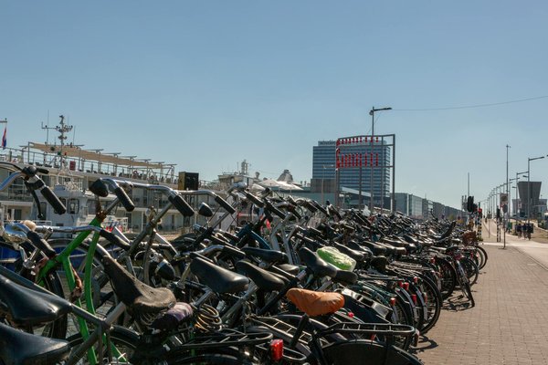 Puralist : guide complet pour vivre intensément et sereinement