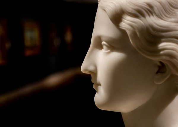 Guide d'achat : choisir la mutuelle idéale pour votre chien